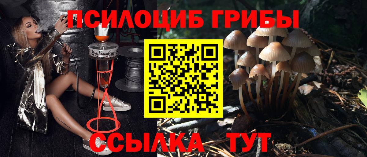 Галлюциногенные грибы Magic Shrooms Киселёвск